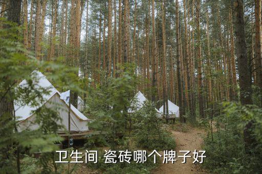 卫生间 瓷砖哪个牌子好