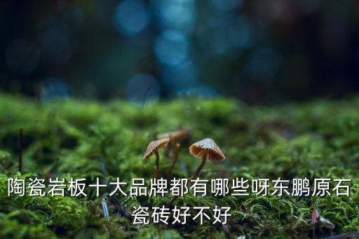 陶瓷岩板十大品牌都有哪些呀东鹏原石 瓷砖好不好