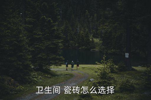 卫生间 瓷砖怎么选择