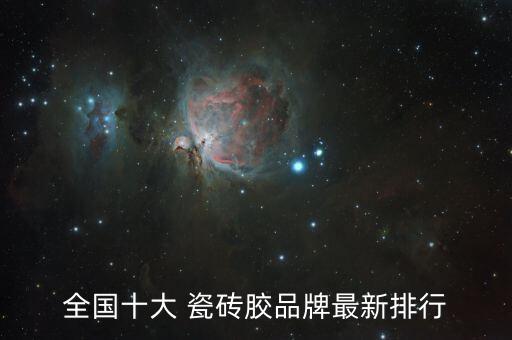 全国十大 瓷砖胶品牌最新排行