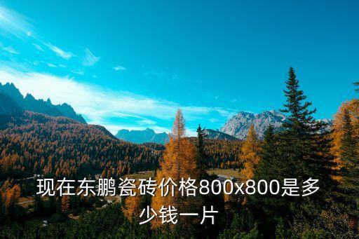 现在东鹏瓷砖价格800x800是多少钱一片