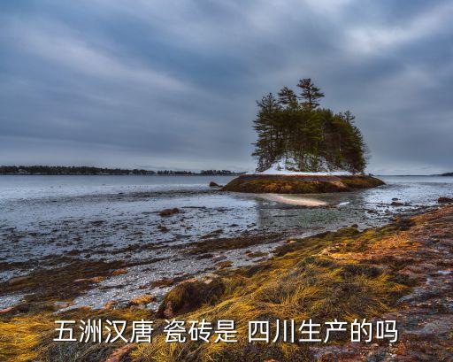 五洲汉唐 瓷砖是 四川生产的吗