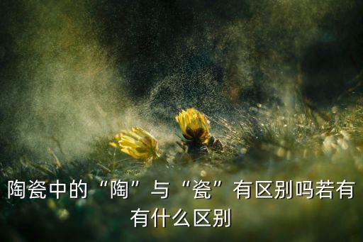 陶工匠瓷砖,龙山文化的黑陶透明陶瓷器有哪些类型?