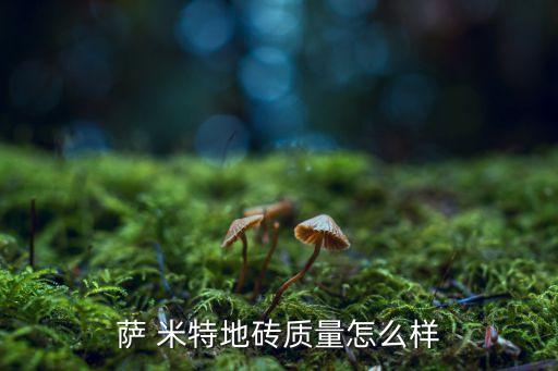 萨 米特地砖质量怎么样