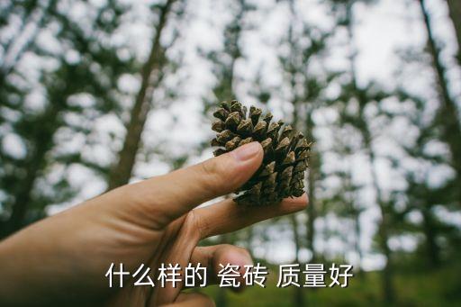 什么样的 瓷砖 质量好