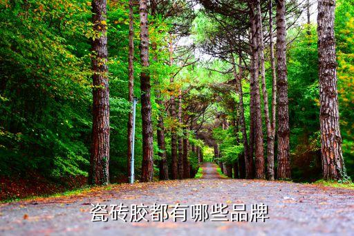  瓷砖胶都有哪些品牌