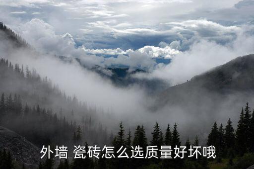  外墙 瓷砖怎么选质量好坏哦