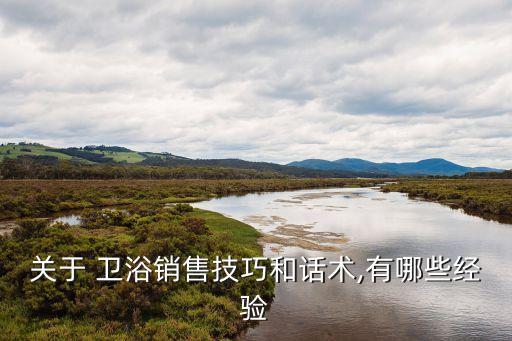 我想卖点瓷砖卫浴,卫生陶瓷砖排行榜出炉什么品牌值得你购买?