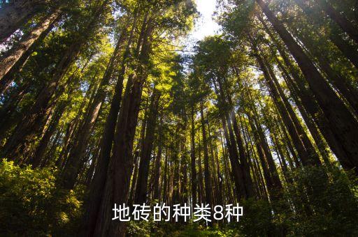 瓷砖种类劈离石,地砖有哪八种?
