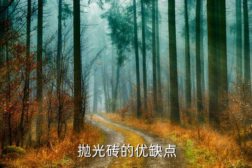 瓷砖抛光砖,仿古陶瓷抛光砖和光面砖各有千秋