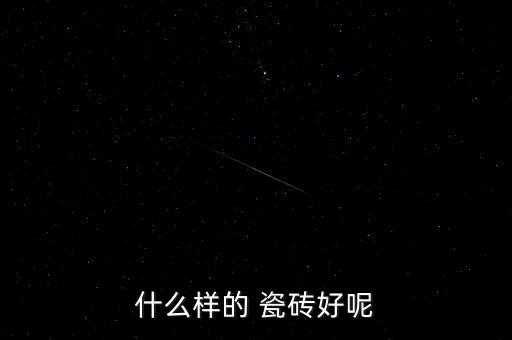 什么样的 瓷砖好呢