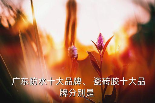  广东防水十大品牌、 瓷砖胶十大品牌分别是