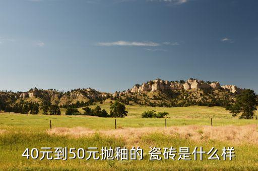 40元到50元抛釉的 瓷砖是什么样