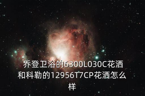 乔登瓷砖,马桶获金马桶奖法恩莎马水水龙头也挺好