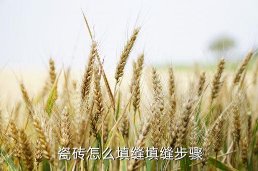  瓷砖怎么填缝填缝步骤