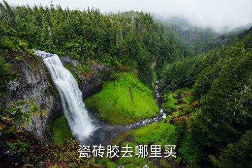  瓷砖胶去哪里买