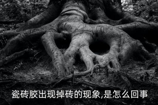  瓷砖胶出现掉砖的现象,是怎么回事