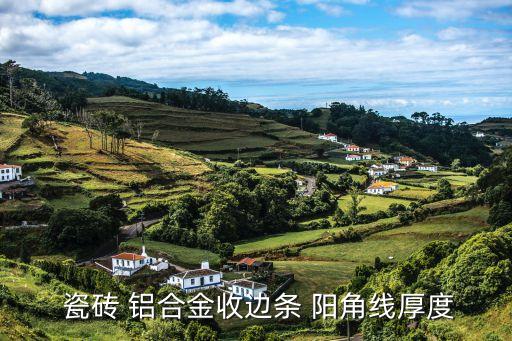 铝合金瓷砖阳角线厂家,瓷砖阳角线与不锈钢相比肯定更好