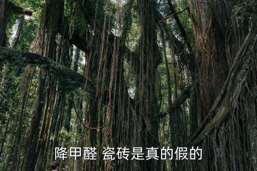 降甲醛 瓷砖是真的假的