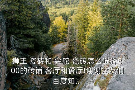 狮王 瓷砖和 金舵 瓷砖怎么选择800的砖铺 客厅和餐厅!谢谢盆友们百度知...