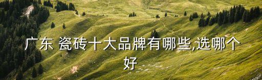 瓷砖广东,瓷砖知多少?问与答（13）