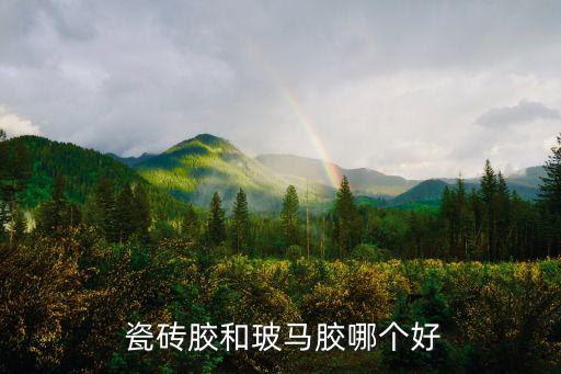  瓷砖胶和玻马胶哪个好