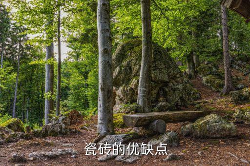  瓷砖的优缺点