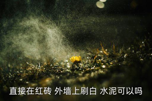 外墙瓷砖能否用白水泥,白色水泥不宜用于室内装饰