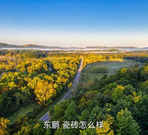 嘉善县东鹏瓷砖电话,中国陶瓷公司生产的瓷砖具有多种功能性