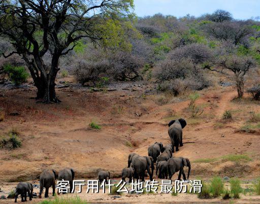 客厅用什么地砖最防滑