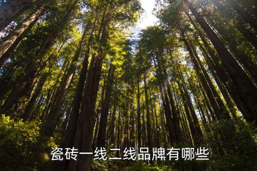 红骆驼瓷砖是几线品牌,瓷砖知多少?问与答（十）