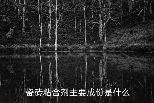 漯河瓷砖粘结剂,陈光瓷砖胶粘剂主要用于-1瓷砖地砖