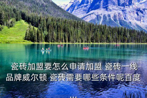  瓷砖加盟要怎么申请加盟 瓷砖一线品牌威尔顿 瓷砖需要哪些条件呢百度...