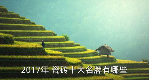 2017年 瓷砖十大名牌有哪些