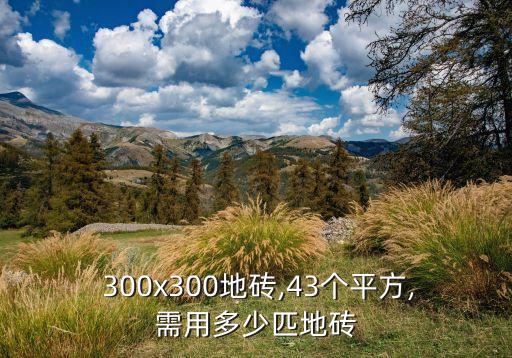  300x300地砖,43个平方,需用多少匹地砖