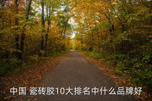 中国 瓷砖胶10大排名中什么品牌好