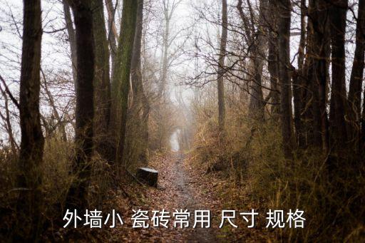  外墙小 瓷砖常用 尺寸 规格