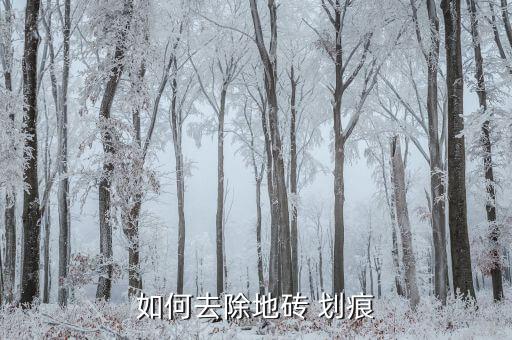 如何去除地砖 划痕