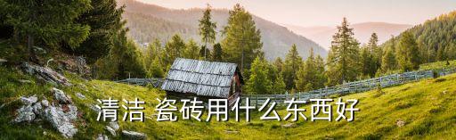 清洁 瓷砖用什么东西好