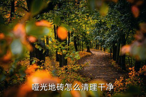 哑光地砖怎么清理干净