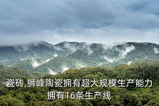 狮峰瓷砖,狮峰陶瓷拥有超大规模生产能力拥有16条生产线