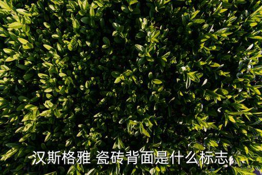 汉斯格雅 瓷砖背面是什么标志