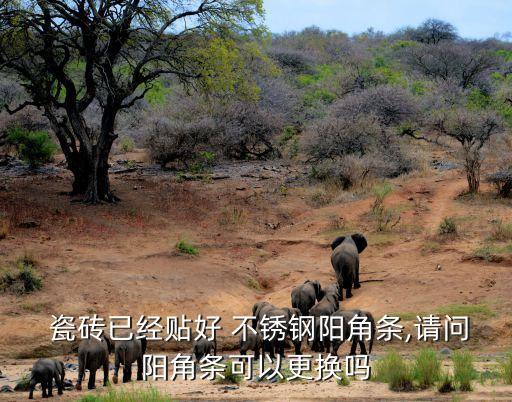 不锈钢瓷砖修边条,不锈钢框框外角条两侧有砖防撞防脱落
