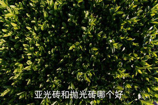 亚光砖和抛光砖哪个好