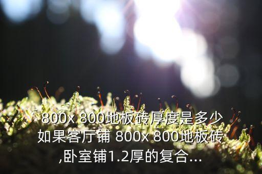 800 800瓷砖贴图,800多万平方米的地砖被埋入地下