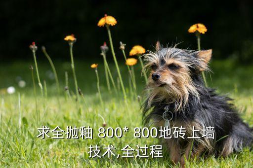 求全抛釉 800* 800地砖上墙技术,全过程