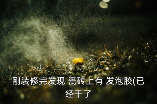 刚装修完发现 瓷砖上有 发泡胶(已经干了