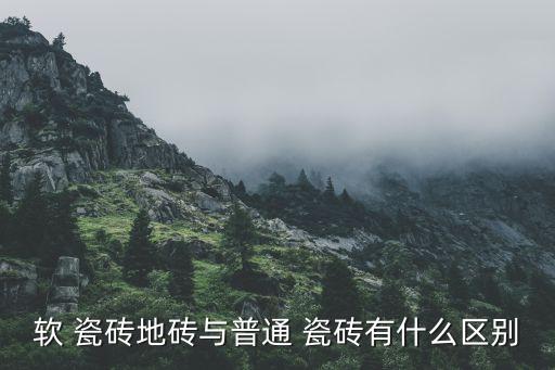 软 瓷砖地砖与普通 瓷砖有什么区别