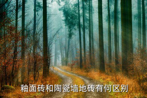  釉面砖和陶瓷墙地砖有何区别