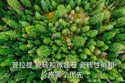  普拉提 瓷砖和微晶石 瓷砖性能和价格哪个优先